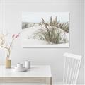 Picture of Sand Dunes _GroupedProduct_Rectangle_Landscape_Photography _GroupedProduct_Rectangle_Landscape_Canvas_