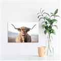 Picture of Shaggy Bull II _GroupedProduct_Rectangle_Landscape_Photography _GroupedProduct_Rectangle_Landscape_Canvas_