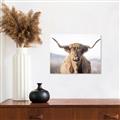 Picture of Shaggy Bull II _GroupedProduct_Rectangle_Landscape_Photography _GroupedProduct_Rectangle_Landscape_Canvas_