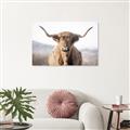 Picture of Shaggy Bull II _GroupedProduct_Rectangle_Landscape_Photography _GroupedProduct_Rectangle_Landscape_Canvas_