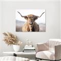 Picture of Shaggy Bull II _GroupedProduct_Rectangle_Landscape_Photography _GroupedProduct_Rectangle_Landscape_Canvas_