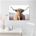 Picture of Shaggy Bull II _GroupedProduct_Rectangle_Landscape_Photography _GroupedProduct_Rectangle_Landscape_Canvas_