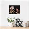 Picture of Beautiful Blooms _GroupedProduct_Rectangle_Landscape_Photography _GroupedProduct_Rectangle_Landscape_Canvas_