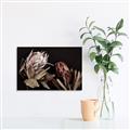 Picture of Beautiful Blooms _GroupedProduct_Rectangle_Landscape_Photography _GroupedProduct_Rectangle_Landscape_Canvas_