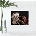 Picture of Beautiful Blooms _GroupedProduct_Rectangle_Landscape_Photography _GroupedProduct_Rectangle_Landscape_Canvas_