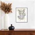 Picture of Antiqued Leaves II _GroupedProduct_Rectangle_Portrait_Canvas_Framed_