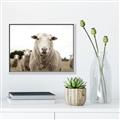 Picture of Sheepily _GroupedProduct_Rectangle_Landscape_Photography _GroupedProduct_Rectangle_Landscape_Canvas_Framed_