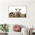 Picture of Sheepily _GroupedProduct_Rectangle_Landscape_Photography _GroupedProduct_Rectangle_Landscape_Canvas_Framed_
