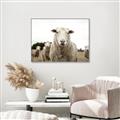 Picture of Sheepily _GroupedProduct_Rectangle_Landscape_Photography _GroupedProduct_Rectangle_Landscape_Canvas_Framed_