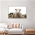 Picture of Sheepily _GroupedProduct_Rectangle_Landscape_Photography _GroupedProduct_Rectangle_Landscape_Canvas_Framed_