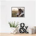 Picture of Horse & the Horizon _GroupedProduct_Rectangle_Landscape_Photography _GroupedProduct_Rectangle_Landscape_Canvas_Framed_