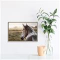 Picture of Horse & the Horizon _GroupedProduct_Rectangle_Landscape_Photography _GroupedProduct_Rectangle_Landscape_Canvas_Framed_
