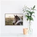 Picture of Horse & the Horizon _GroupedProduct_Rectangle_Landscape_Photography _GroupedProduct_Rectangle_Landscape_Canvas_Framed_