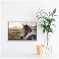 Picture of Horse & the Horizon _GroupedProduct_Rectangle_Landscape_Photography _GroupedProduct_Rectangle_Landscape_Canvas_Framed_