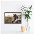 Picture of Horse & the Horizon _GroupedProduct_Rectangle_Landscape_Photography _GroupedProduct_Rectangle_Landscape_Canvas_Framed_