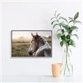 Picture of Horse & the Horizon _GroupedProduct_Rectangle_Landscape_Photography _GroupedProduct_Rectangle_Landscape_Canvas_Framed_