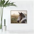 Picture of Horse & the Horizon _GroupedProduct_Rectangle_Landscape_Photography _GroupedProduct_Rectangle_Landscape_Canvas_Framed_