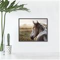 Picture of Horse & the Horizon _GroupedProduct_Rectangle_Landscape_Photography _GroupedProduct_Rectangle_Landscape_Canvas_Framed_
