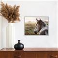 Picture of Horse & the Horizon _GroupedProduct_Rectangle_Landscape_Photography _GroupedProduct_Rectangle_Landscape_Canvas_Framed_