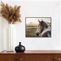 Picture of Horse & the Horizon _GroupedProduct_Rectangle_Landscape_Photography _GroupedProduct_Rectangle_Landscape_Canvas_Framed_