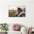 Picture of Horse & the Horizon _GroupedProduct_Rectangle_Landscape_Photography _GroupedProduct_Rectangle_Landscape_Canvas_Framed_