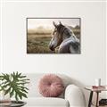 Picture of Horse & the Horizon _GroupedProduct_Rectangle_Landscape_Photography _GroupedProduct_Rectangle_Landscape_Canvas_Framed_