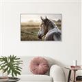 Picture of Horse & the Horizon _GroupedProduct_Rectangle_Landscape_Photography _GroupedProduct_Rectangle_Landscape_Canvas_Framed_