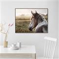 Picture of Horse & the Horizon _GroupedProduct_Rectangle_Landscape_Photography _GroupedProduct_Rectangle_Landscape_Canvas_Framed_