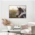 Picture of Horse & the Horizon _GroupedProduct_Rectangle_Landscape_Photography _GroupedProduct_Rectangle_Landscape_Canvas_Framed_