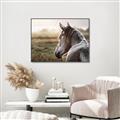 Picture of Horse & the Horizon _GroupedProduct_Rectangle_Landscape_Photography _GroupedProduct_Rectangle_Landscape_Canvas_Framed_