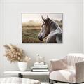 Picture of Horse & the Horizon _GroupedProduct_Rectangle_Landscape_Photography _GroupedProduct_Rectangle_Landscape_Canvas_Framed_