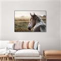 Picture of Horse & the Horizon _GroupedProduct_Rectangle_Landscape_Photography _GroupedProduct_Rectangle_Landscape_Canvas_Framed_