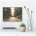 Picture of Foggy Straight Redwood Highway _GroupedProduct_Rectangle_Landscape_Photography _GroupedProduct_Rectangle_Landscape_Canvas_Framed_