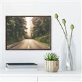Picture of Foggy Straight Redwood Highway _GroupedProduct_Rectangle_Landscape_Photography _GroupedProduct_Rectangle_Landscape_Canvas_Framed_