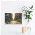 Picture of Foggy Straight Redwood Highway _GroupedProduct_Rectangle_Landscape_Photography _GroupedProduct_Rectangle_Landscape_Canvas_Framed_