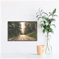 Picture of Foggy Straight Redwood Highway _GroupedProduct_Rectangle_Landscape_Photography _GroupedProduct_Rectangle_Landscape_Canvas_Framed_