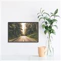 Picture of Foggy Straight Redwood Highway _GroupedProduct_Rectangle_Landscape_Photography _GroupedProduct_Rectangle_Landscape_Canvas_Framed_