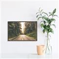 Picture of Foggy Straight Redwood Highway _GroupedProduct_Rectangle_Landscape_Photography _GroupedProduct_Rectangle_Landscape_Canvas_Framed_