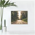 Picture of Foggy Straight Redwood Highway _GroupedProduct_Rectangle_Landscape_Photography _GroupedProduct_Rectangle_Landscape_Canvas_Framed_