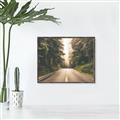 Picture of Foggy Straight Redwood Highway _GroupedProduct_Rectangle_Landscape_Photography _GroupedProduct_Rectangle_Landscape_Canvas_Framed_