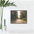 Picture of Foggy Straight Redwood Highway _GroupedProduct_Rectangle_Landscape_Photography _GroupedProduct_Rectangle_Landscape_Canvas_Framed_