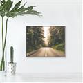 Picture of Foggy Straight Redwood Highway _GroupedProduct_Rectangle_Landscape_Photography _GroupedProduct_Rectangle_Landscape_Canvas_Framed_