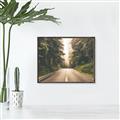Picture of Foggy Straight Redwood Highway _GroupedProduct_Rectangle_Landscape_Photography _GroupedProduct_Rectangle_Landscape_Canvas_Framed_