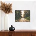 Picture of Foggy Straight Redwood Highway _GroupedProduct_Rectangle_Landscape_Photography _GroupedProduct_Rectangle_Landscape_Canvas_Framed_