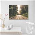 Picture of Foggy Straight Redwood Highway _GroupedProduct_Rectangle_Landscape_Photography _GroupedProduct_Rectangle_Landscape_Canvas_Framed_