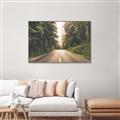 Picture of Foggy Straight Redwood Highway _GroupedProduct_Rectangle_Landscape_Photography _GroupedProduct_Rectangle_Landscape_Canvas_Framed_