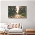 Picture of Foggy Straight Redwood Highway _GroupedProduct_Rectangle_Landscape_Photography _GroupedProduct_Rectangle_Landscape_Canvas_Framed_