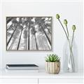 Picture of Sky High Trees _GroupedProduct_Rectangle_Landscape_Photography _GroupedProduct_Rectangle_Landscape_Canvas_Framed_