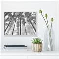 Picture of Sky High Trees _GroupedProduct_Rectangle_Landscape_Photography _GroupedProduct_Rectangle_Landscape_Canvas_Framed_