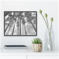 Picture of Sky High Trees _GroupedProduct_Rectangle_Landscape_Photography _GroupedProduct_Rectangle_Landscape_Canvas_Framed_
